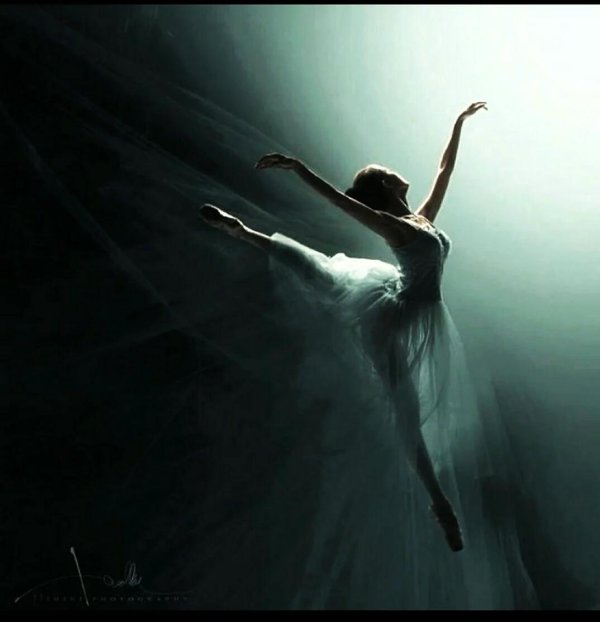 фотографии балерин