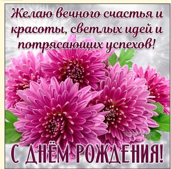 хризантемы открытка