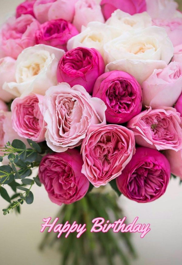 пионовидная роза