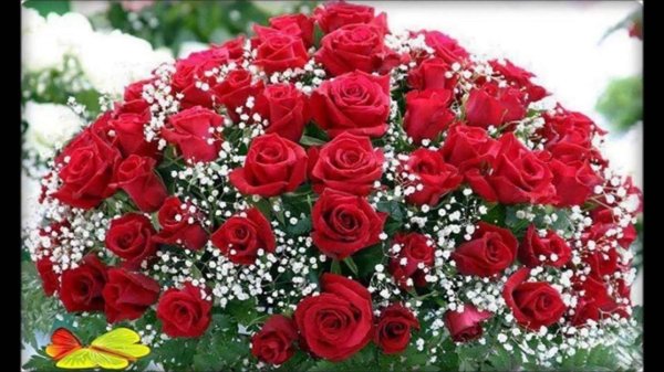 туулган кунунуз менен