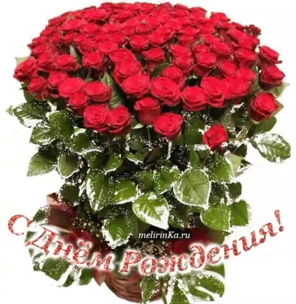 цветы день рождение