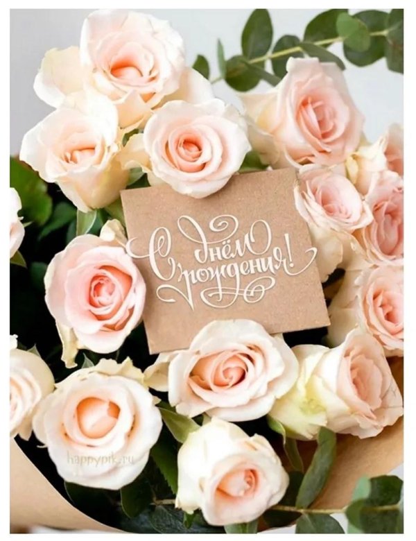 розы поздравление
