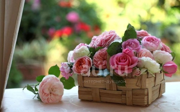 красивые цветочки