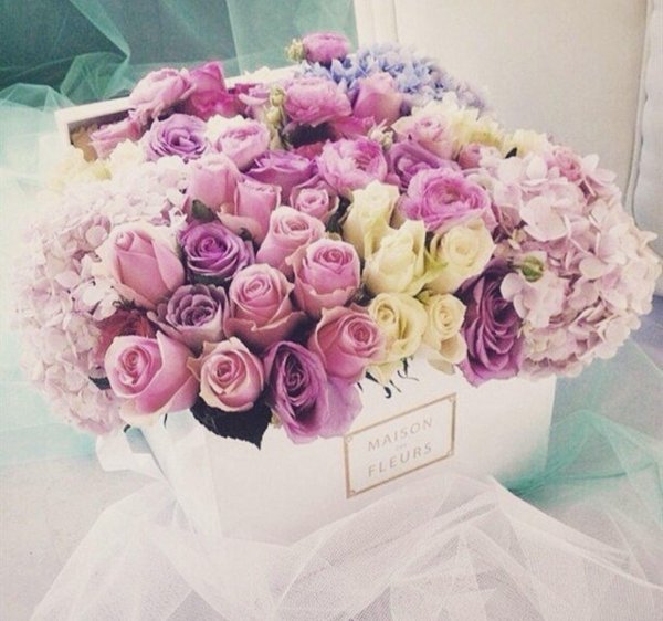 цветочная коробка