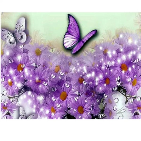 фиолетовая бабочка