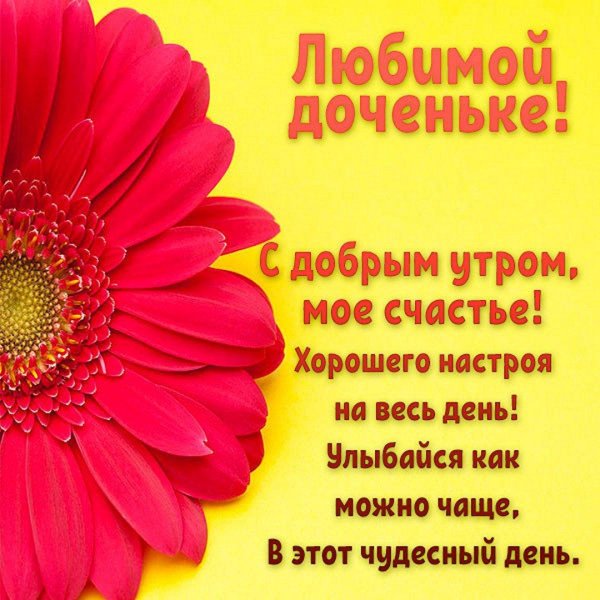 солнышко доброе утро