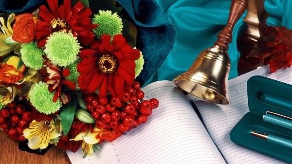 цветы учителю