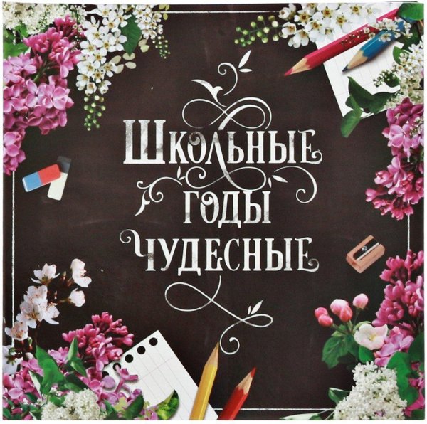 школьные года