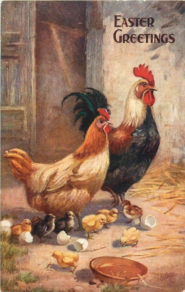 петушок с а веретенникова