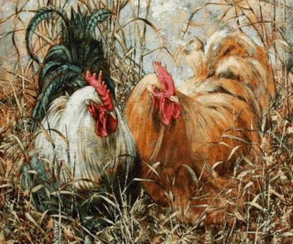 франс снейдерс петушиный бой