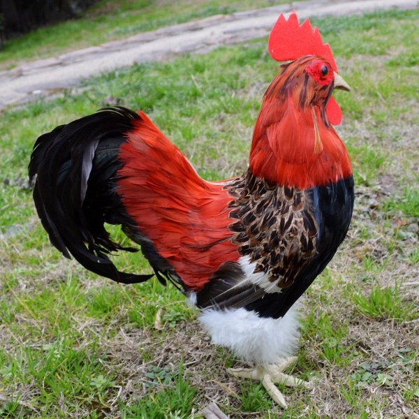 большие петухи