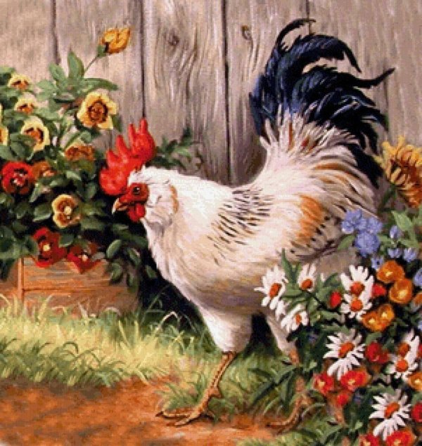 курочка и петушок