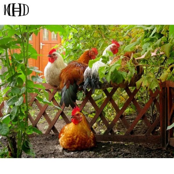 деревенский курятник