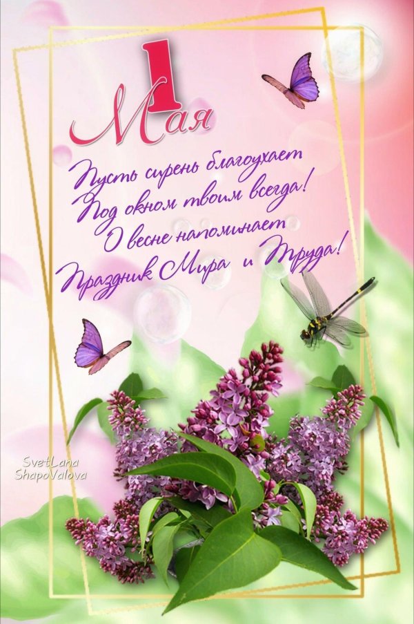 открытка сирень