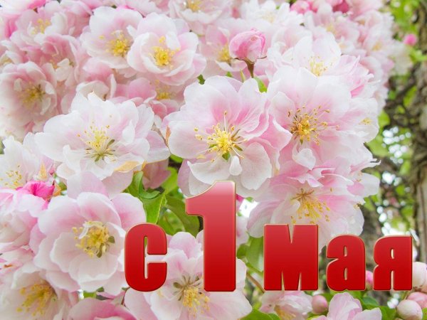 праздник 1 мая