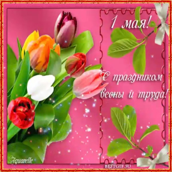открытка к 1 мая