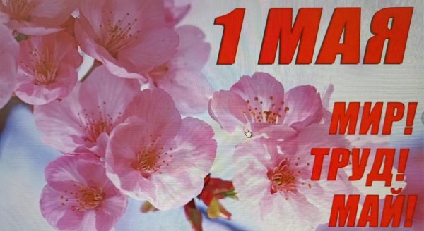 с праздником весны и труда