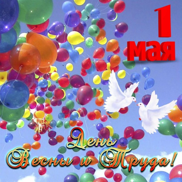 праздником весны и труда открытки