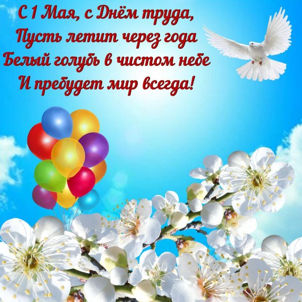 небо голуби