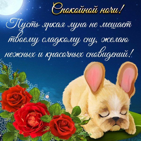 открытка спокойного ночи