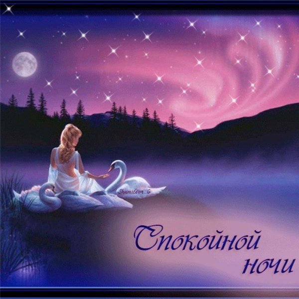 спокойная ночи