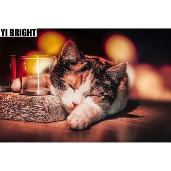 уютного вечера