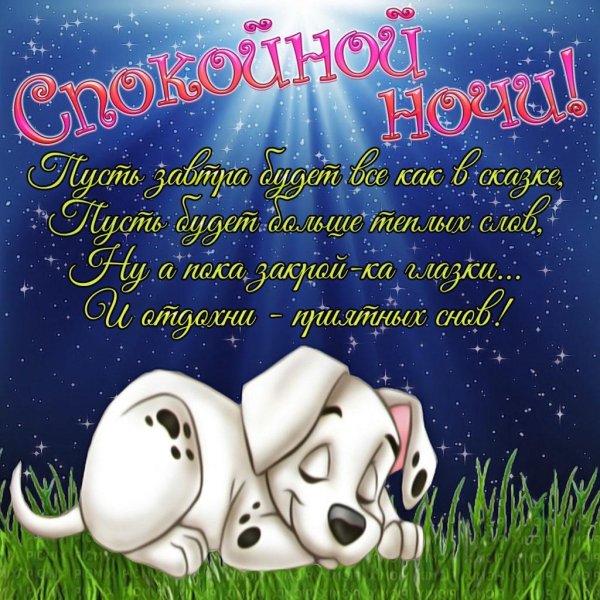 спокойной ночи животные