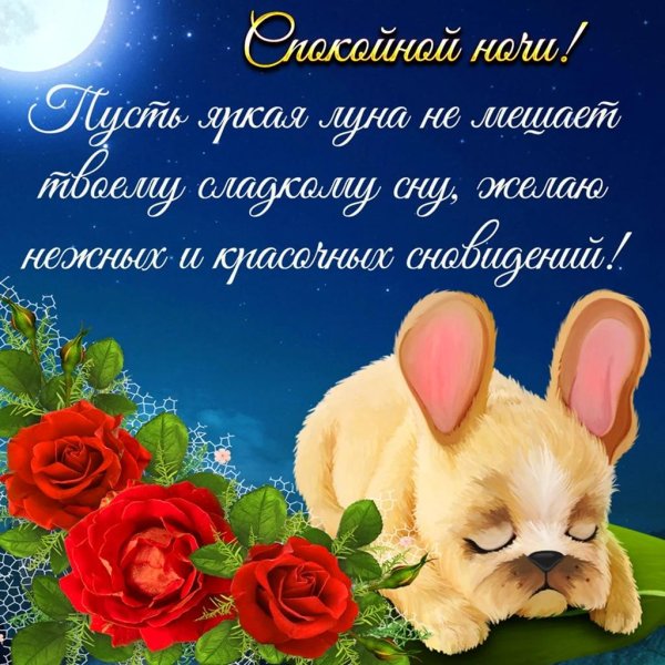 открытка спокойного ночи