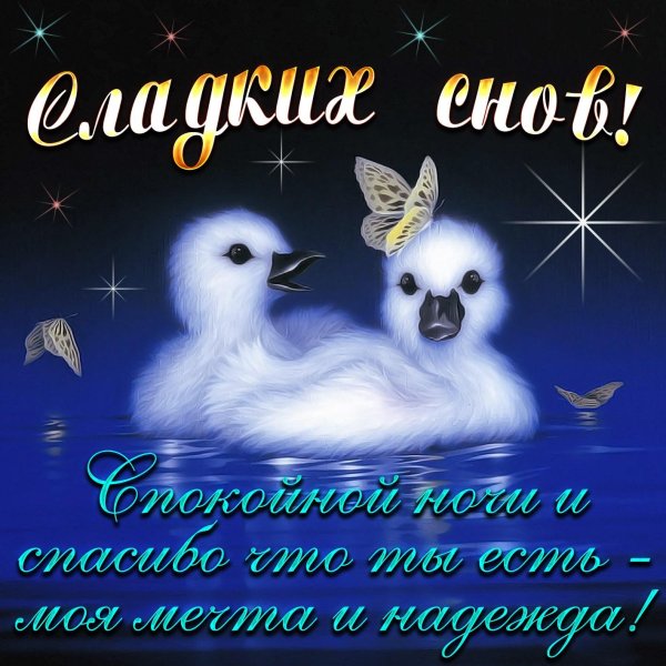 пожелание сладких снов