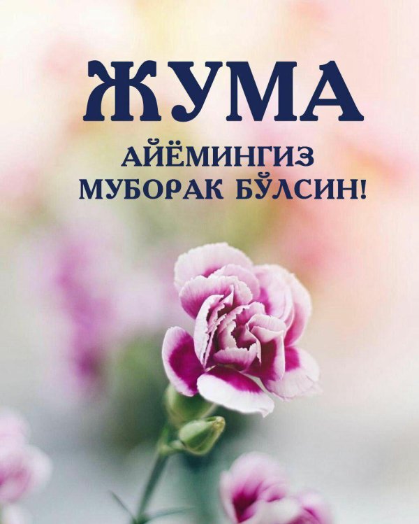 жұма айёмингиз муборак булсин