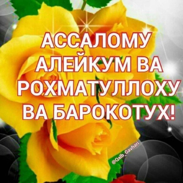 ассаламу алейкум кадрдоним