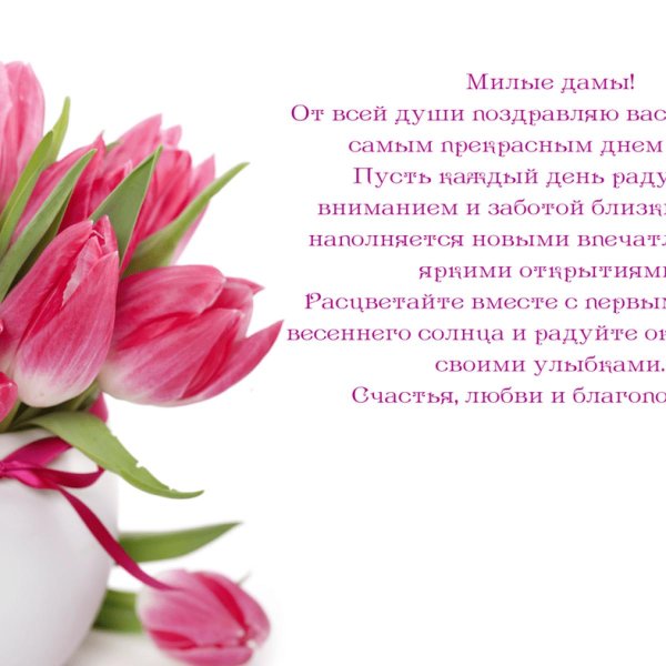 розовые тюльпаны