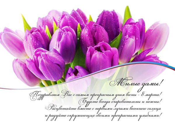 открытка с тюльпанами