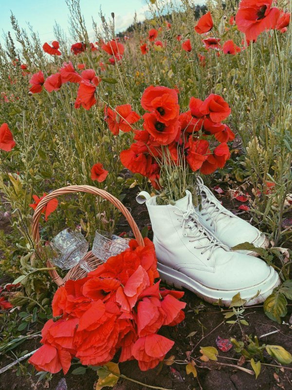 букет маков