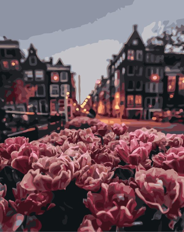 нидерланды тюльпаны