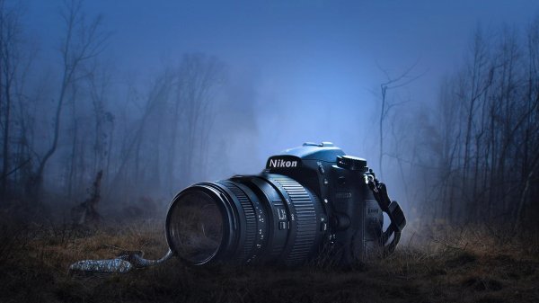 профессиональный фотограф