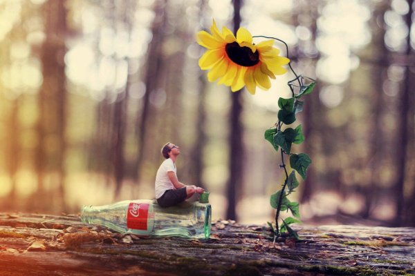 бутылка кока кола