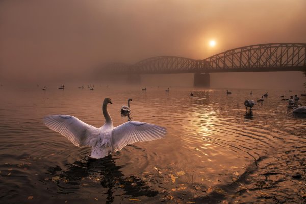 красивый кадр