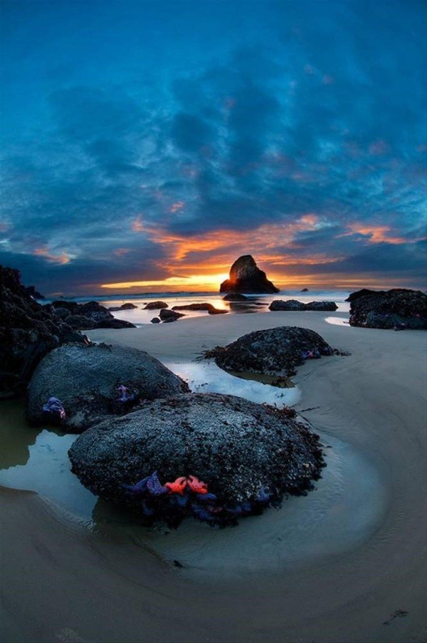 кэннон бич орегон