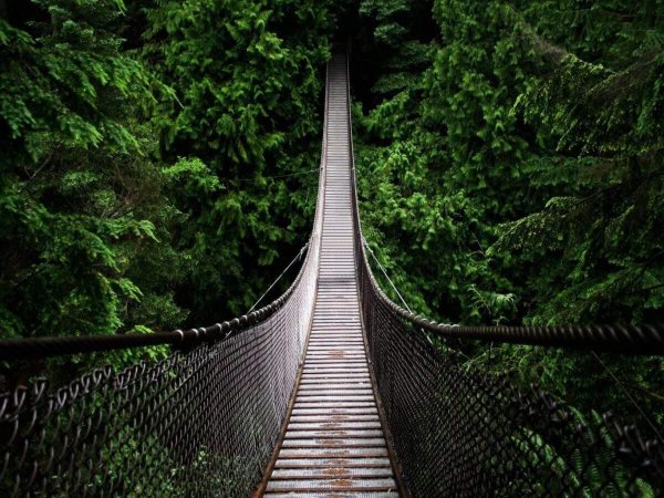 lynn canyon suspension bridge