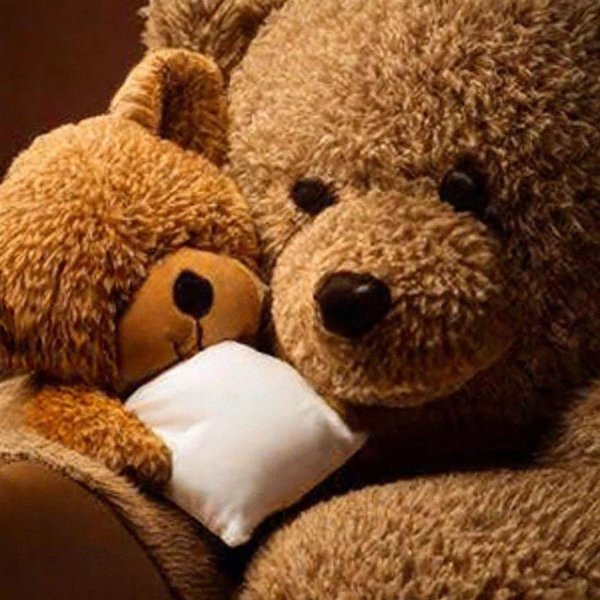 плюшевые медведи