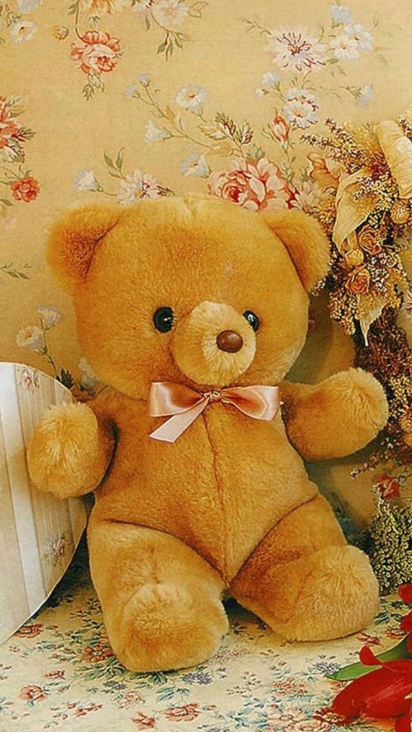 teddy bear