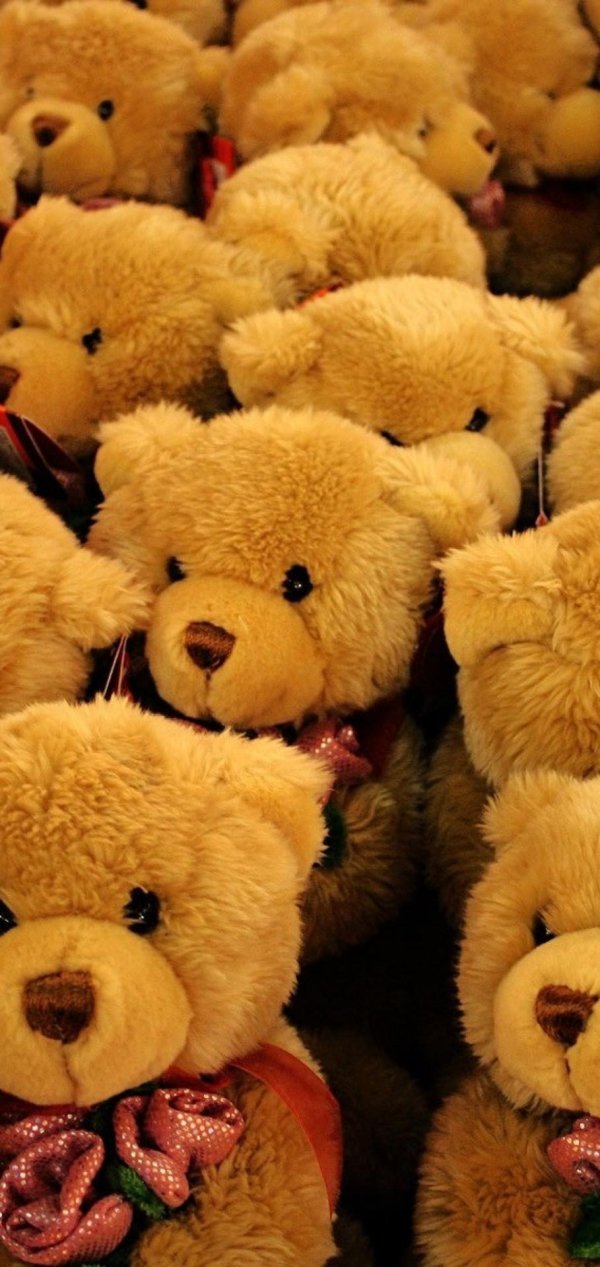 много мишек