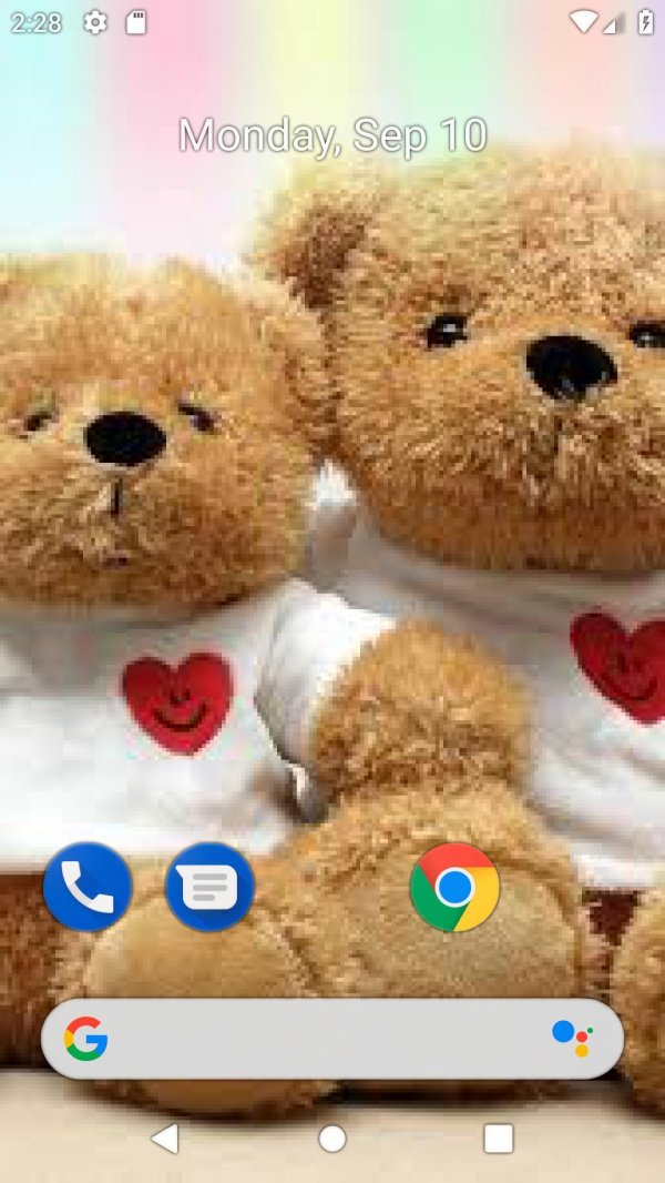 красивый медвежонок