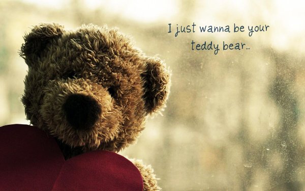 teddy bear