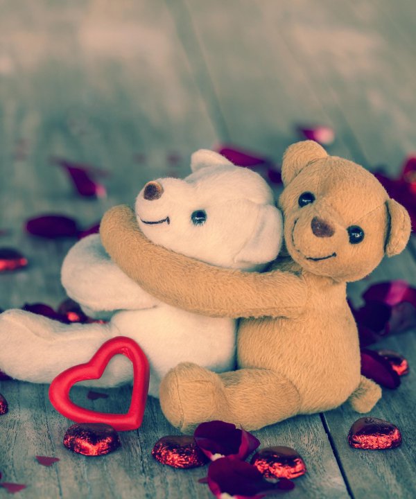 мишки обнимаются