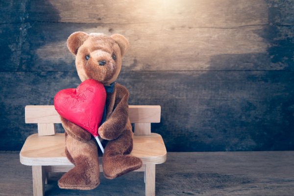 медведь с сердцем