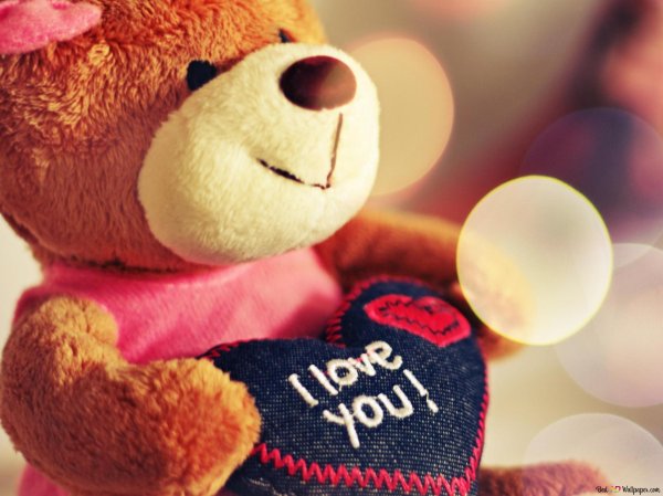 teddy bear teddy bear