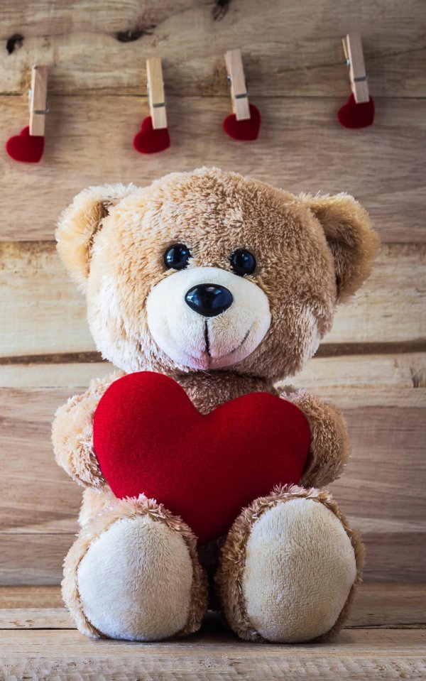 медведь с сердечком