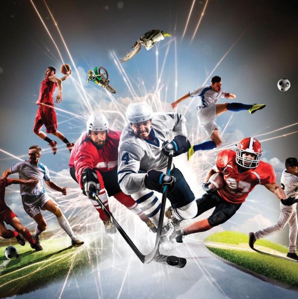 разные виды спорта